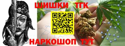 индика Гусев