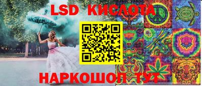индика Гусев