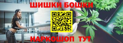 индика Гусев