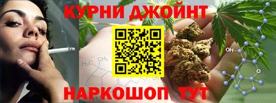 индика Гусев