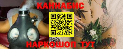 индика Гусев