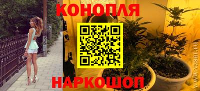 индика Гусев
