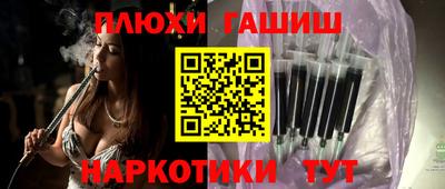 индика Гусев